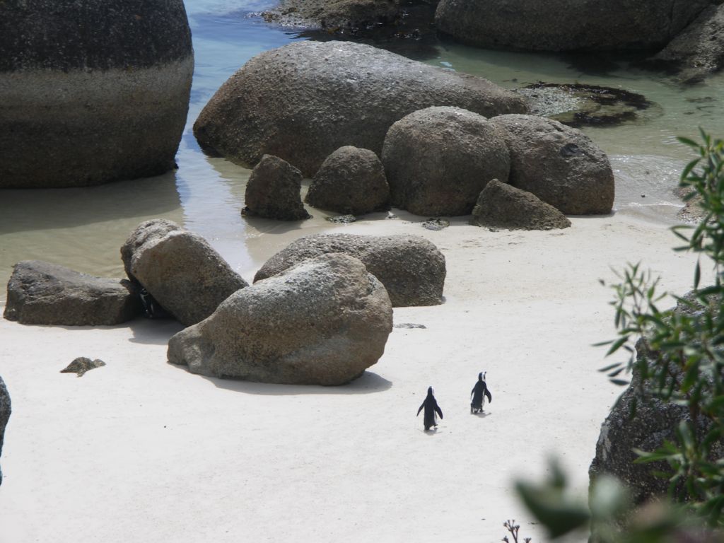 boulders beach